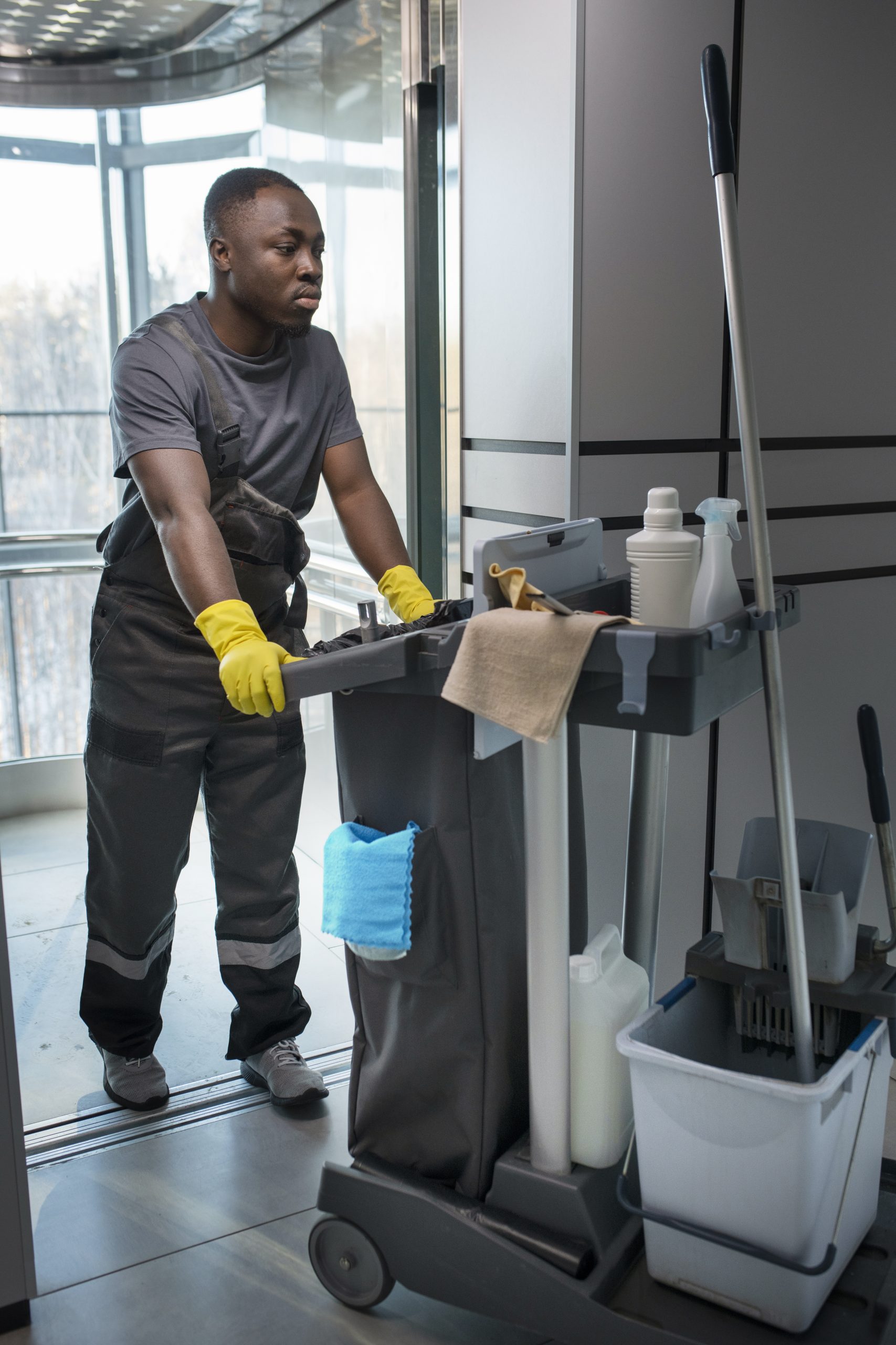 Professional cleaning service